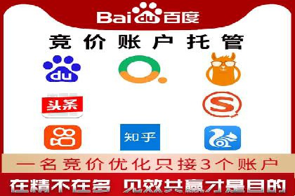 百度竞价入门必看：实操技巧与成功案例